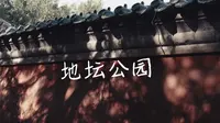 治愈向丨阳光正好 微风不燥丨地坛公园