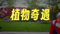 2026上海国际花卉节-上海植物园主会场