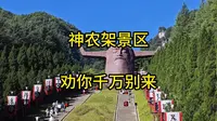 神农架景区，劝你千万别来