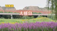 在刘家峡太极岛散步，观鸟拍花，无敌休闲