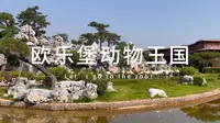 vlog | let's go to the zoo！欧乐堡动物王国 济南/德州