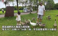 上海这片观鸟胜地成周末好去处，崇明西沙明珠湖景区正冲刺国家5A景区