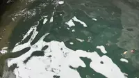 建水大板井