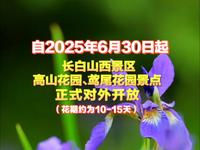 自2025年6月30日起，长白山西景区，高山花园、鸢尾花园景点正式对外开放！