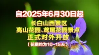 自2025年6月30日起，长白山西景区，高山花园、鸢尾花园景点正式对外开放！