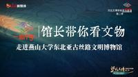【 2025】燕山大学东北亚古丝路文明博物馆（ 河北·秦皇岛 ）【云游直播回放】-溜达搬运