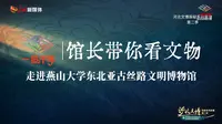 【 2025】燕山大学东北亚古丝路文明博物馆（ 河北·秦皇岛 ）【云游直播回放】-溜达搬运