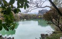 根宫佛国文化旅游区