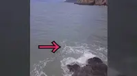 海钓遇见了海怪(浙江舟山矶钓之大青山猫跳海域)