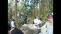 10.2平天山国家森林公园