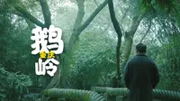 雾与林，重庆闹市中的静谧之地  |  鹅岭  |  重庆 | 中式园林