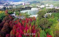 科普精品基地-昆明植物园宣传片
