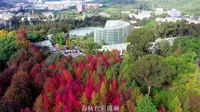 科普精品基地-昆明植物园宣传片