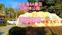 大亚湾的4A景区红树林公园游玩攻略