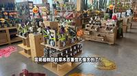 被昆明植物园的文创店拿捏了！