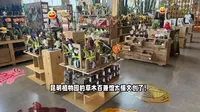 被昆明植物园的文创店拿捏了！