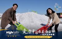 “海”光瞬间｜走进中国最美海盐田——长芦汉沽盐场