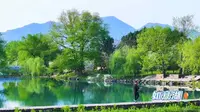 3.神仙居神仙氧吧小镇