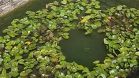济宁市任城区浣笔泉