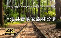 上海共青國家森林公園散步 Street Walk Shanghai Gongqing Forest Park Part 1, 4K, 現場音