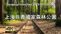 上海共青國家森林公園散步 Street Walk Shanghai Gongqing Forest Park Part 1, 4K, 現場音
