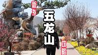 五龙山太给力了吧，这份五龙山的游玩攻略告 诉你！#旅行推荐官 #五龙山 #亲子游玩好去处