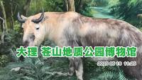 大理苍山地质公园博物馆