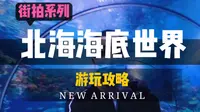 自驾游广西，北海必打卡景点-北海海底世界，附带攻略
