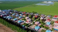 航拍宁安农场 徐奥雯摄 航拍宁安农场 石岩农场牡丹江市 [夏季·片段]