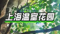 在上海温室花园疯狂刷热带植物！名字能记几个就记几个全凭兴趣！