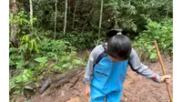 基诺山雨林徒步