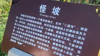 实测鞍山对桩石“怪坡”