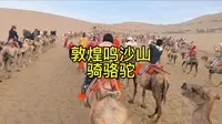 敦煌鸣沙山月牙泉景区，必打卡第项目～骑骆驼，全程4公里，大约45分钟左右，体验感相当好。