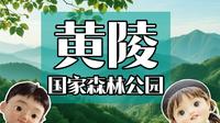 黄陵国家森林公园一日游，带你体验旅拍博主的一天