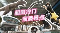 朝阳最不能错过的宝藏景点：鸟化石国家地质公园