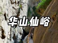 华山门票包含了仙峪景区。这里看山玩水，是华山的一处山水秘境