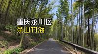 【DriverQuin】4K重庆永川 初探茶山竹海