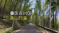 【DriverQuin】4K重庆永川 初探茶山竹海