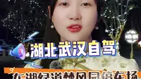 自驾游打卡湖北武汉东湖绿道停车停哪里
