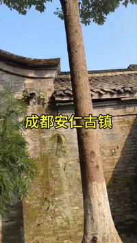 具有1400年历史的成都安仁古镇夜色国家5A级景区@闪闪发光的生活官