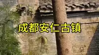 具有1400年历史的成都安仁古镇夜色国家5A级景区@闪闪发光的生活官
