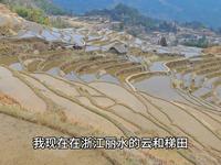 第一个成为5A景区的梯田：浙江云和梯田