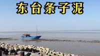 东台条子泥，看过这条视频之后你还想来玩吗？