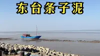 东台条子泥，看过这条视频之后你还想来玩吗？