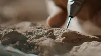 国家自然博物馆|宣传片