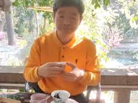 白云山风景美、空气好、泉水靓，在这里泡茶真是好享受