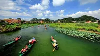 航拍达人之航拍文山——国家湿地公园普者黑
