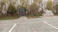 今天到了涡阳县天静宫