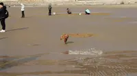 威海金海滩海水浴场周末游
