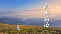 云上贵州,天上花海-阿西里西韭菜坪-我终于在贵州拍到了心心念念的花海星空